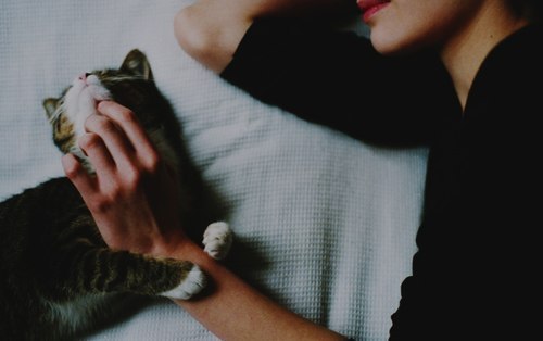 tumblr_nmnn2eH7611tyt5flo1_500