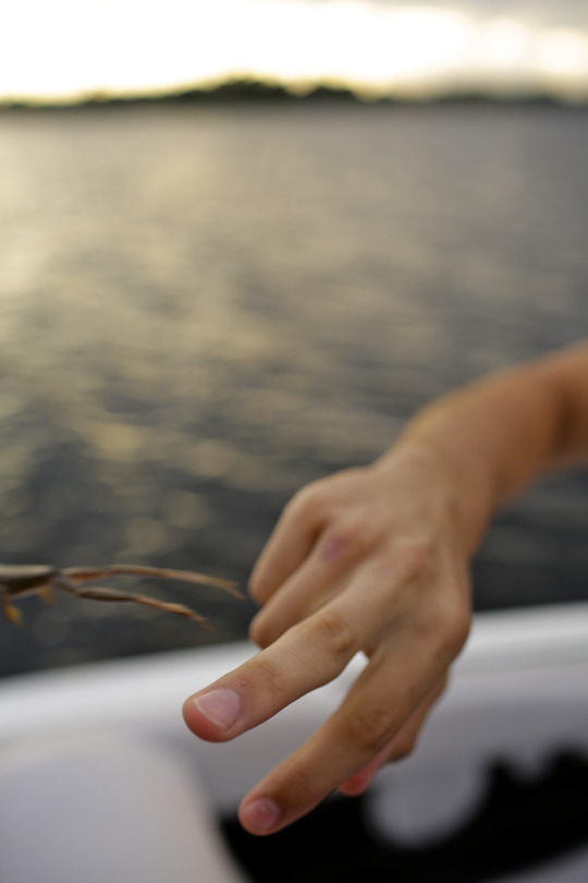 tumblr_ocjeaxxbnz1uuu6ydo1_540